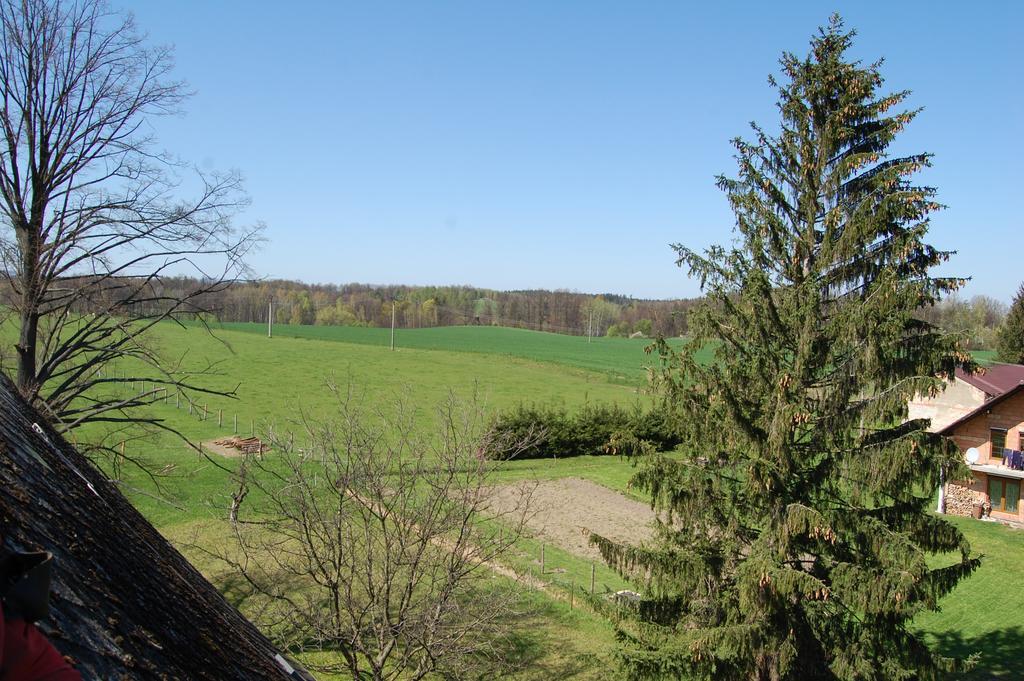 Vila Kozí Farma U Nýdrlů Stara Cervena Voda Exteriér fotografie